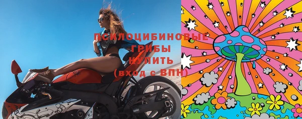 мдпв Дмитров
