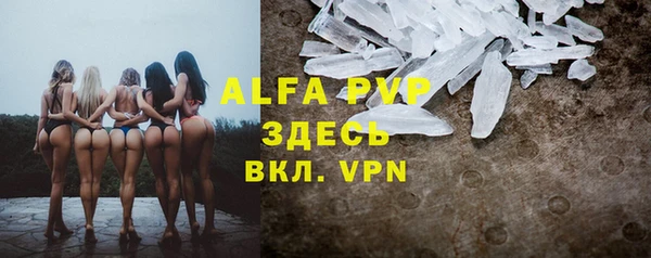 мдпв Дмитров